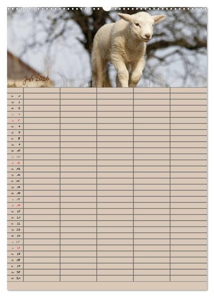 Produktbild: Der bel&auml;mmerte Familienplaner (Wandkalender 2026 DIN A2 hoch), CALVENDO Monatskalender