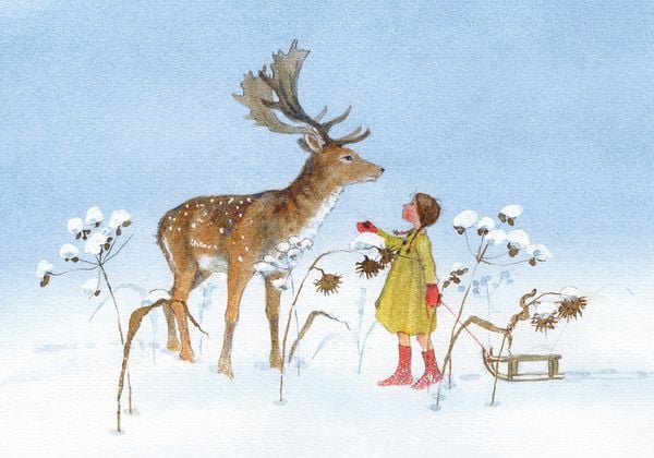 Produktbild: Postkartenbuch &raquo;Waldkinder&laquo;