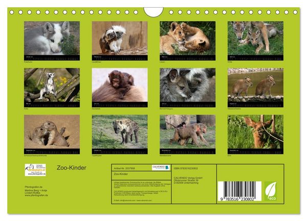 Produktbild: Zoo-Kinder (Wandkalender 2026 DIN A4 quer), CALVENDO Monatskalender