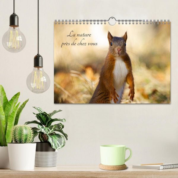 Produktbild: La nature pr&egrave;s de chez vous (Calendrier mural 2026 DIN A4 vertical), CALVENDO calendrier mensuel