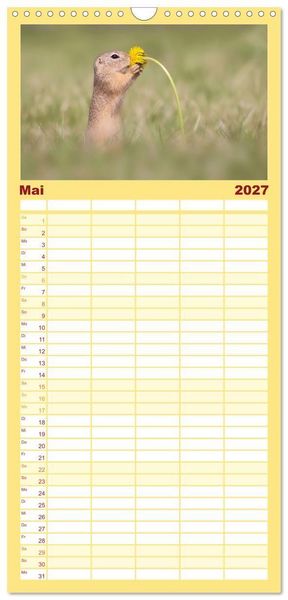 Produktbild: Familienplaner 2027 - Zauberhafte Ziesel mit 5 Spalten (Wandkalender, 21 x 45 cm) CALVENDO