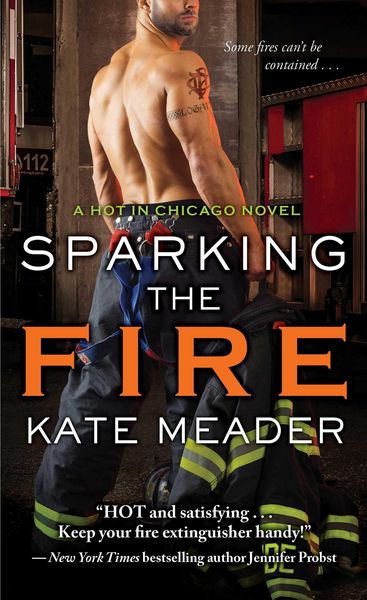 Produktbild: Sparking the Fire