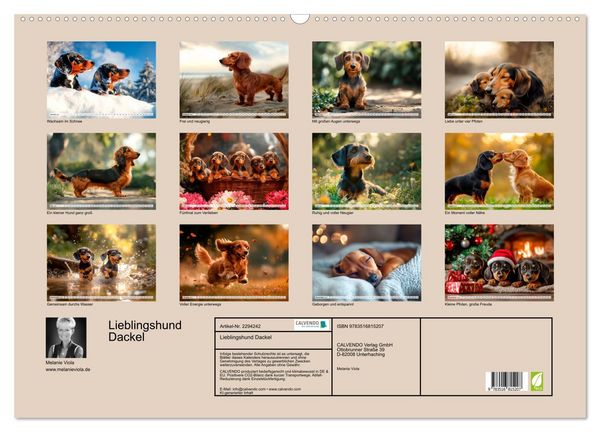 Produktbild: Lieblingshund Dackel (Wandkalender 2027 DIN A2 quer), CALVENDO Monatskalender