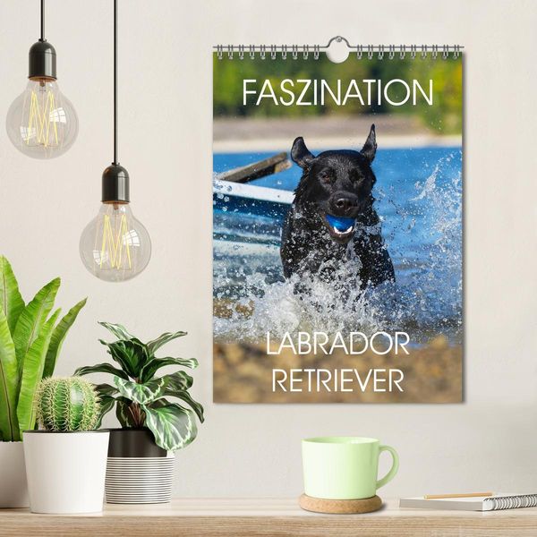 Produktbild: Faszination Labrador Retriever (Wandkalender 2026 DIN A4 hoch), CALVENDO Monatskalender