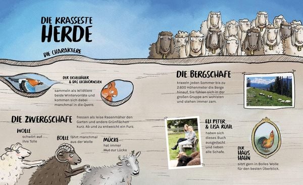 Produktbild: Die krasseste Herde