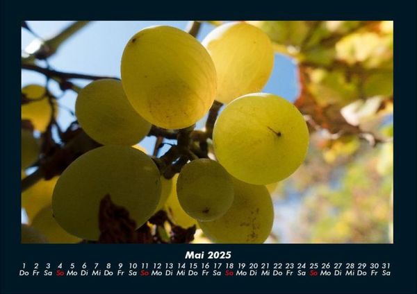 Produktbild: Obstkalender 2025 Fotokalender DIN A4