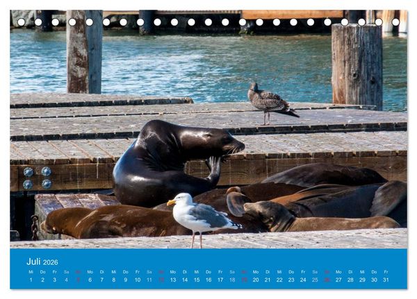Produktbild: San Francisco - Wie ich es sehe (Tischkalender 2026 DIN A5 quer), CALVENDO Monatskalender