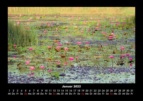 Produktbild: Rosen-Kalender 2025 Fotokalender DIN A3