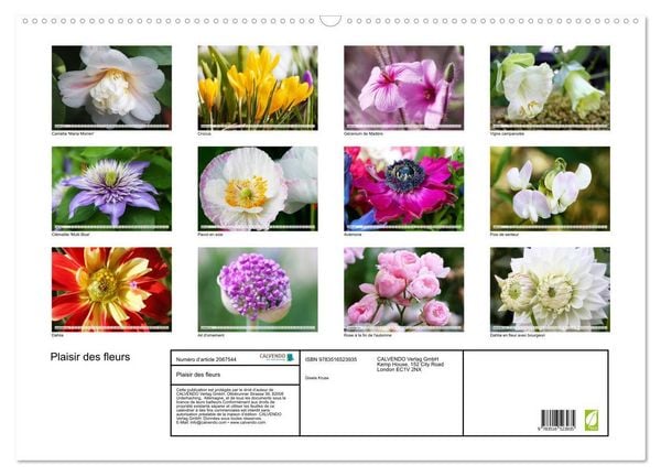 Produktbild: Plaisir des fleurs (Calendrier mural 2026 DIN A2 vertical), CALVENDO calendrier mensuel