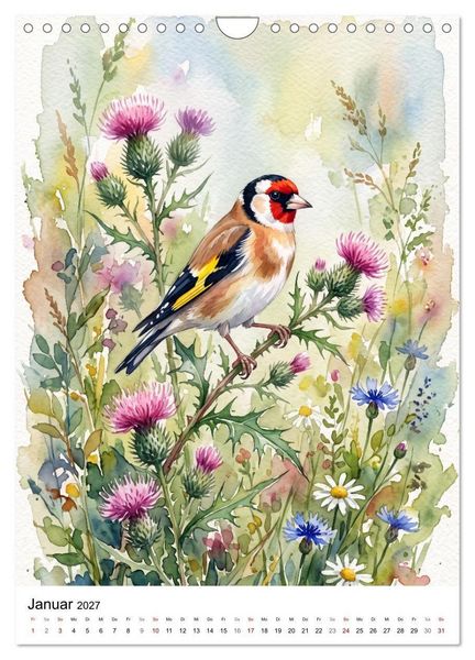 Produktbild: Gefiederte S&auml;nger der Natur (Wandkalender 2027 DIN A4 hoch), CALVENDO Monatskalender