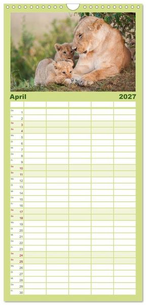 Produktbild: Familienplaner 2027 - Emotionale Momente: Afrika Wildlife. Part 3. mit 5 Spalten (Wandkalender, 21 x 45 cm) CALVENDO
