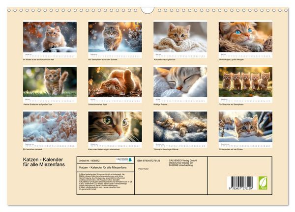 Produktbild: Katzen - Kalender f&uuml;r alle Miezenfans (Wandkalender 2026 DIN A3 quer), CALVENDO Monatskalender