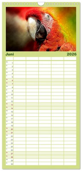 Produktbild: Familienplaner 2026 - Mein bunter Papagei mit 5 Spalten (Wandkalender, 21 x 45 cm) CALVENDO