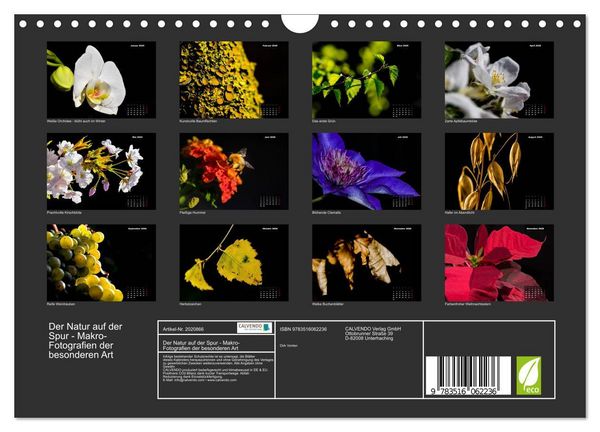 Produktbild: Der Natur auf der Spur - Makro-Fotografien der besonderen Art (Wandkalender 2026 DIN A4 quer), CALVENDO Monatskalender
