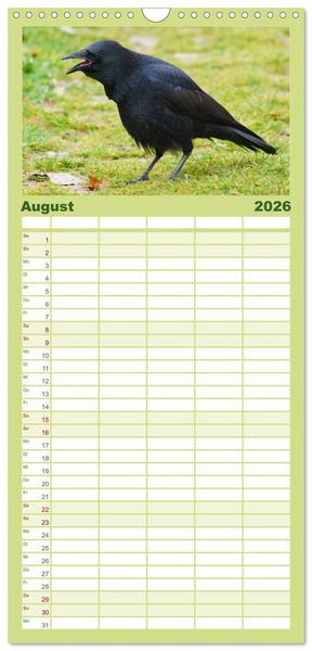 Produktbild: Familienplaner 2026 - Das Leben der Rabenv&ouml;gel mit 5 Spalten (Wandkalender, 21 x 45 cm) CALVENDO