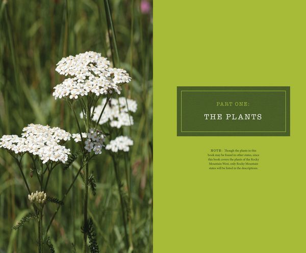 Produktbild: 437 Edible Wild Plants of the Rocky Mountain West