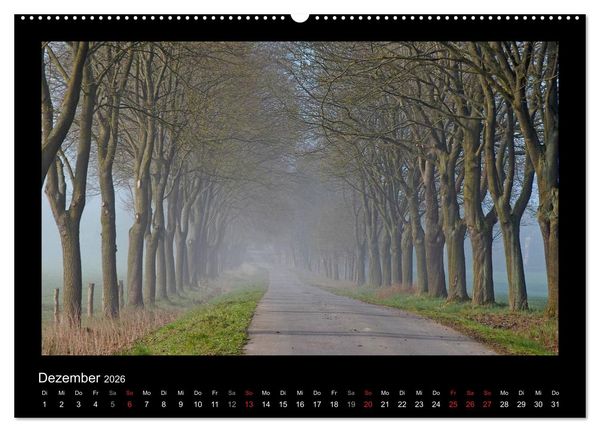 Produktbild: M&auml;rchenhafter Reinhardswald und Urwald Sababurg (Wandkalender 2026 DIN A2 quer), CALVENDO Monatskalender
