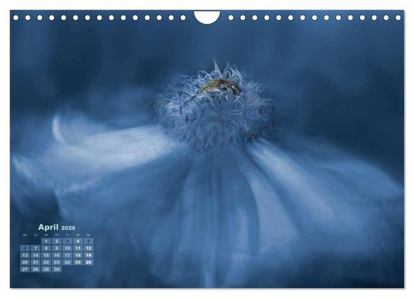Produktbild: Zauberhafte Bl&uuml;ten (Wandkalender 2026 DIN A4 quer), CALVENDO Monatskalender