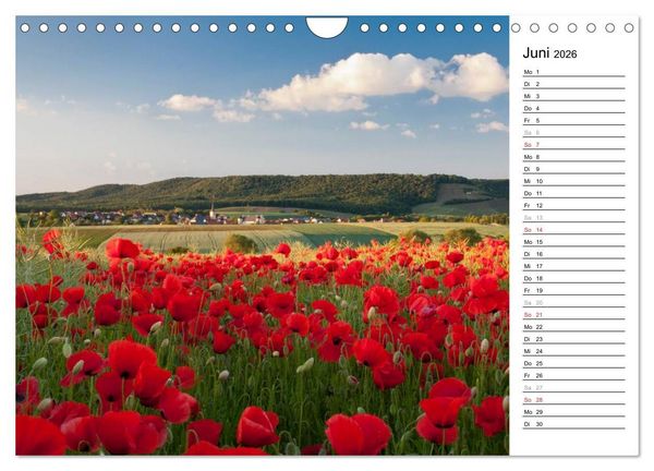Produktbild: DER STEIGERWALD - Impressionen einer Landschaft (Wandkalender 2026 DIN A4 quer), CALVENDO Monatskalender