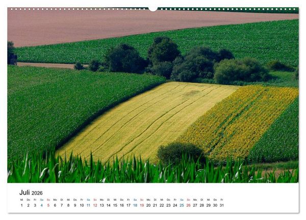 Produktbild: Felder und Wiesen (Wandkalender 2026 DIN A2 quer), CALVENDO Monatskalender