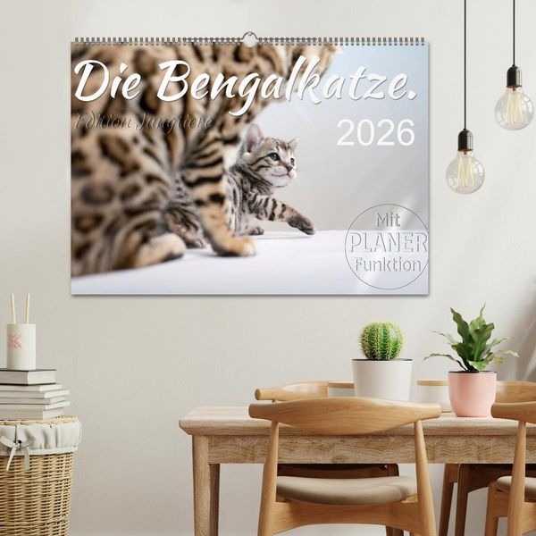 Produktbild: Die Bengalkatze. Edition Jungtiere (Wandkalender 2026 DIN A2 quer), CALVENDO Monatskalender