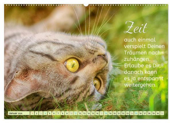 Produktbild: Der Spruchkalender - Inspirationen (hochwertiger Premium Wandkalender 2026 DIN A2 quer), Kunstdruck in Hochglanz