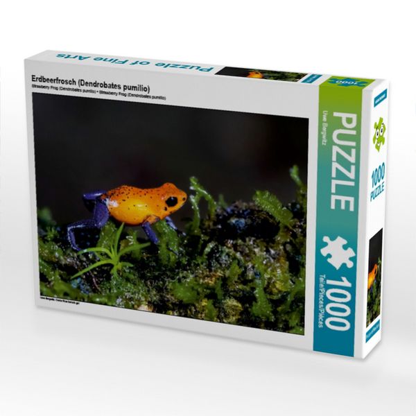 Produktbild: Erdbeerfrosch (Dendrobates pumilio) (Puzzle)