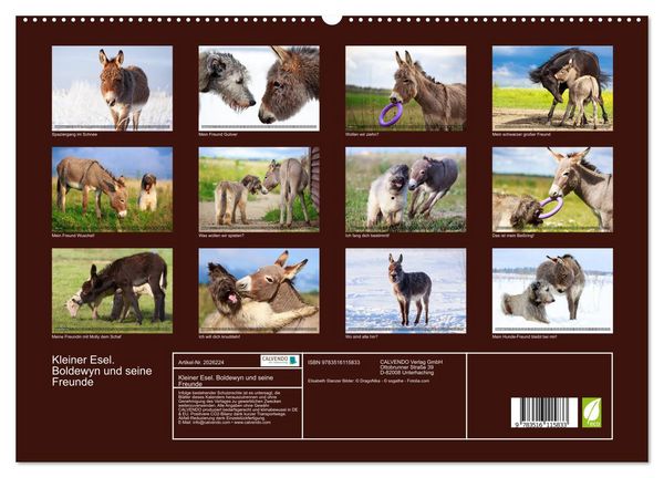 Produktbild: Kleiner Esel. Boldewyn und seine Freunde (hochwertiger Premium Wandkalender 2026 DIN A2 quer), Kunstdruck in Hochglanz