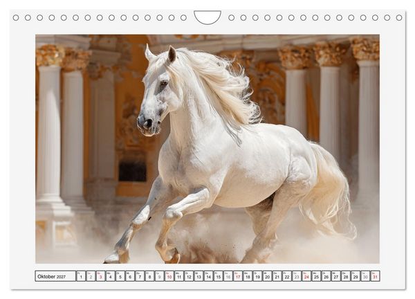 Produktbild: Spanische Eleganz. Edle Schimmel auf dem Gest&uuml;t (Wandkalender 2027 DIN A4 quer), CALVENDO Monatskalender