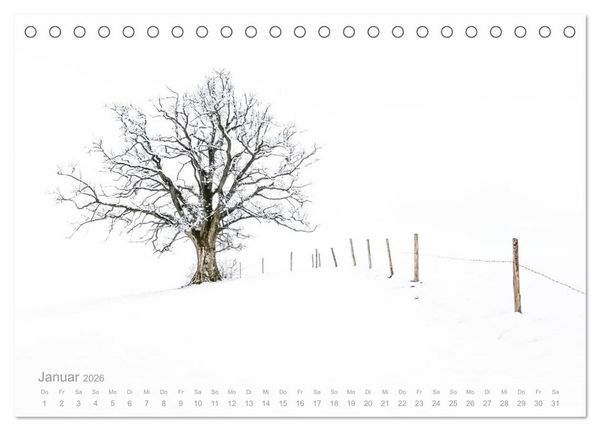 Produktbild: Astrein! - Der Baumkalender 2026 (Tischkalender 2026 DIN A5 quer), CALVENDO Monatskalender