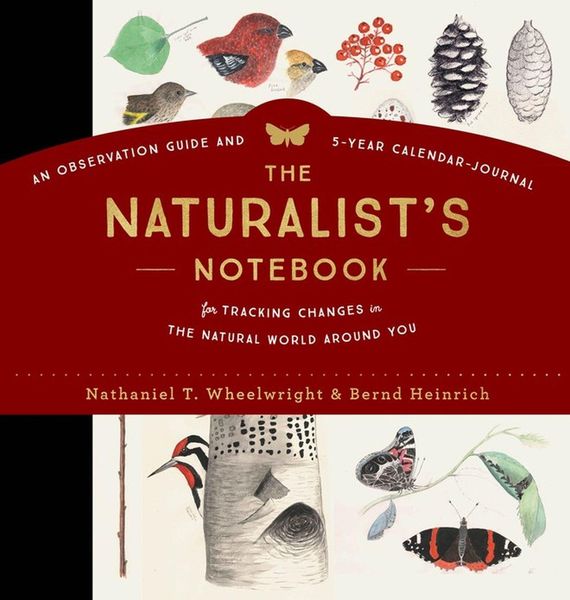 Produktbild: The Naturalist's Notebook