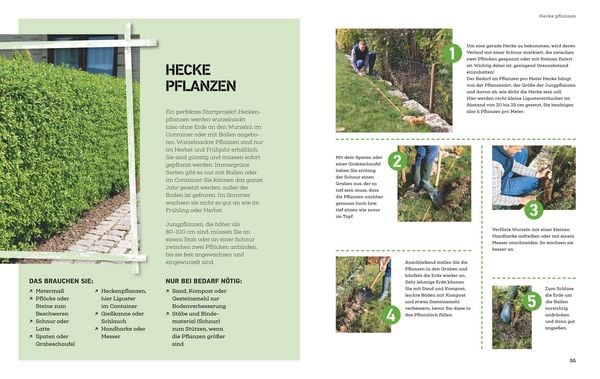 Produktbild: Projekt Garten
