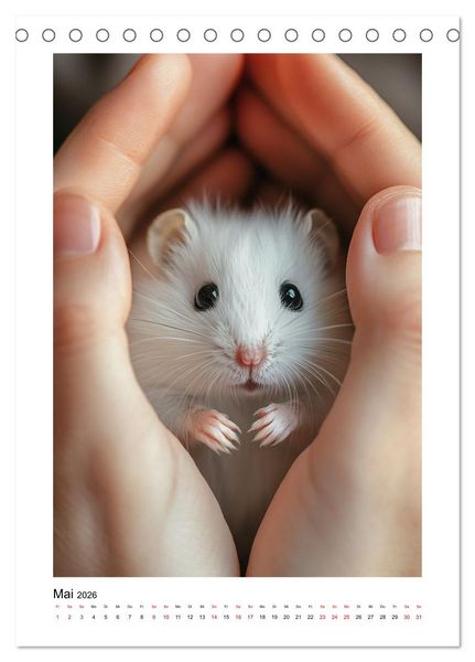 Produktbild: Goldhamster Geschichten (Tischkalender 2026 DIN A5 hoch), CALVENDO Monatskalender