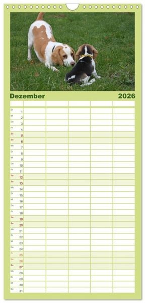 Produktbild: Familienplaner 2026 - DER BEAGLEige TERMINPLANER mit 5 Spalten (Wandkalender, 21 x 45 cm) CALVENDO