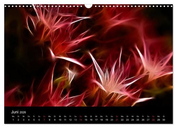 Produktbild: Floral Abstrakt 2026 (Wandkalender 2026 DIN A3 quer), CALVENDO Monatskalender