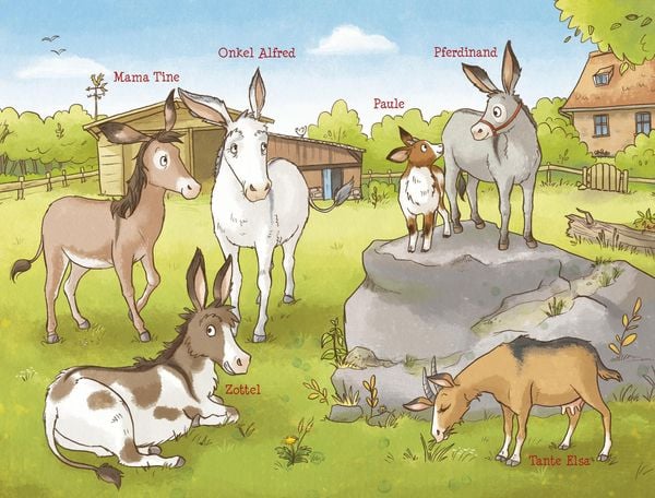 Produktbild: Der Esel Pferdinand - Volle Pferdest&auml;rke voraus!