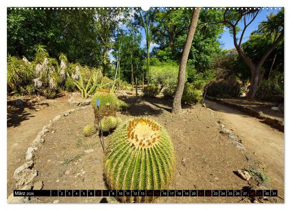 Produktbild: Botanischer Garten Palermo (Wandkalender 2026 DIN A2 quer), CALVENDO Monatskalender