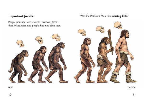 Produktbild: The Case of the Piltdown Man