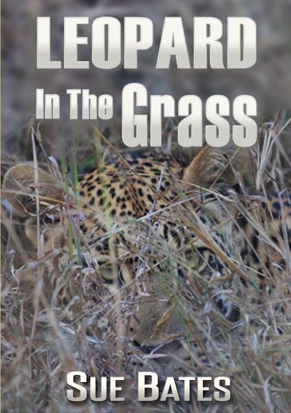 Produktbild: Leopard In The Grass
