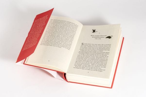 Produktbild: Fliegt, Wilde Schw&auml;ne