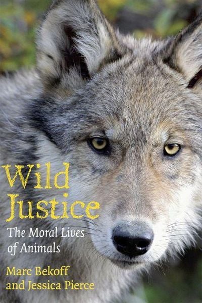 Produktbild: Wild Justice - The Moral Lives of Animals