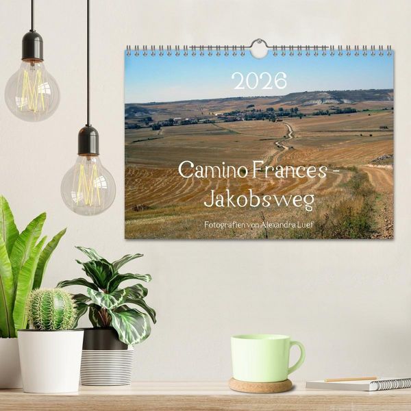 Produktbild: Camino Frances - Jakobsweg (Wandkalender 2026 DIN A4 quer), CALVENDO Monatskalender