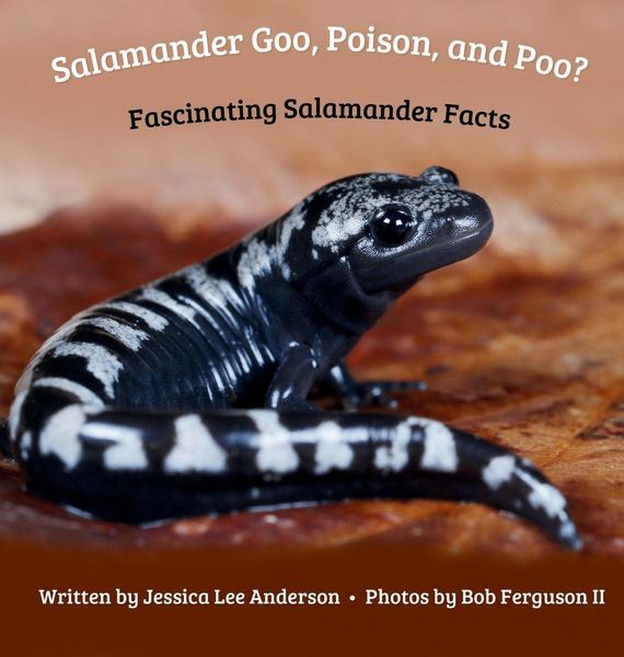 Produktbild: Salamander Goo, Poison, and Poo? Fascinating Salamander Facts