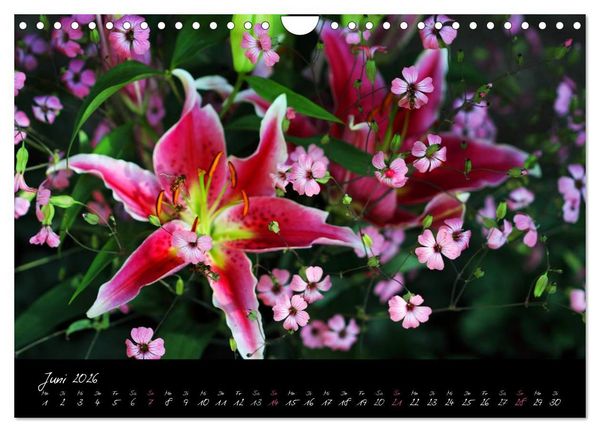 Produktbild: Florales Sonett - Visuelle Musik der Blumen (Wandkalender 2026 DIN A4 quer), CALVENDO Monatskalender