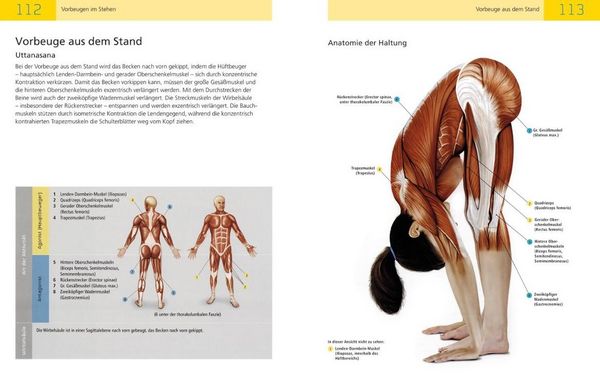 Produktbild: Die Anatomie des Yoga