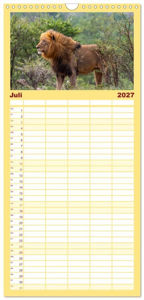 Produktbild: Familienplaner 2027 - L&ouml;wen in Botswana und S&uuml;dafrika mit 5 Spalten (Wandkalender, 21 x 45 cm) CALVENDO