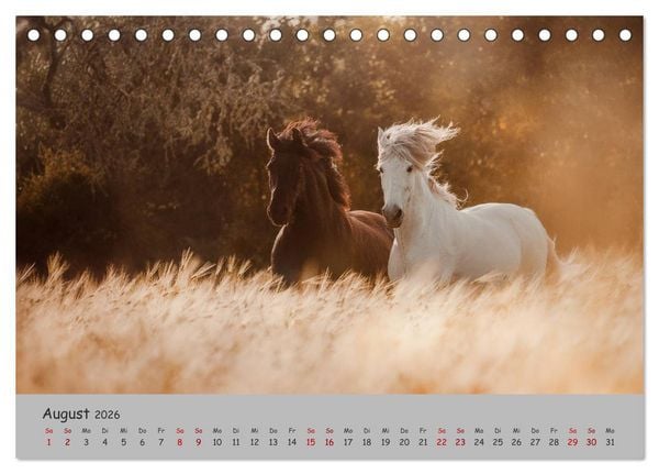 Produktbild: Spiegel deiner Seele (Tischkalender 2026 DIN A5 quer), CALVENDO Monatskalender