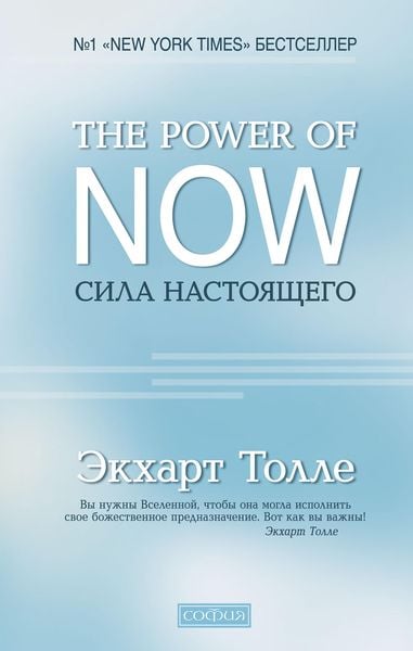 Cover of the book The Power of Now