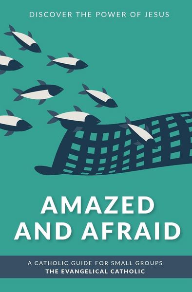 Produktbild: Amazed and Afraid