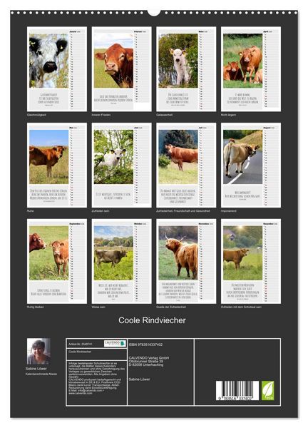 Produktbild: Coole Rindviecher (hochwertiger Premium Wandkalender 2026 DIN A2 hoch), Kunstdruck in Hochglanz